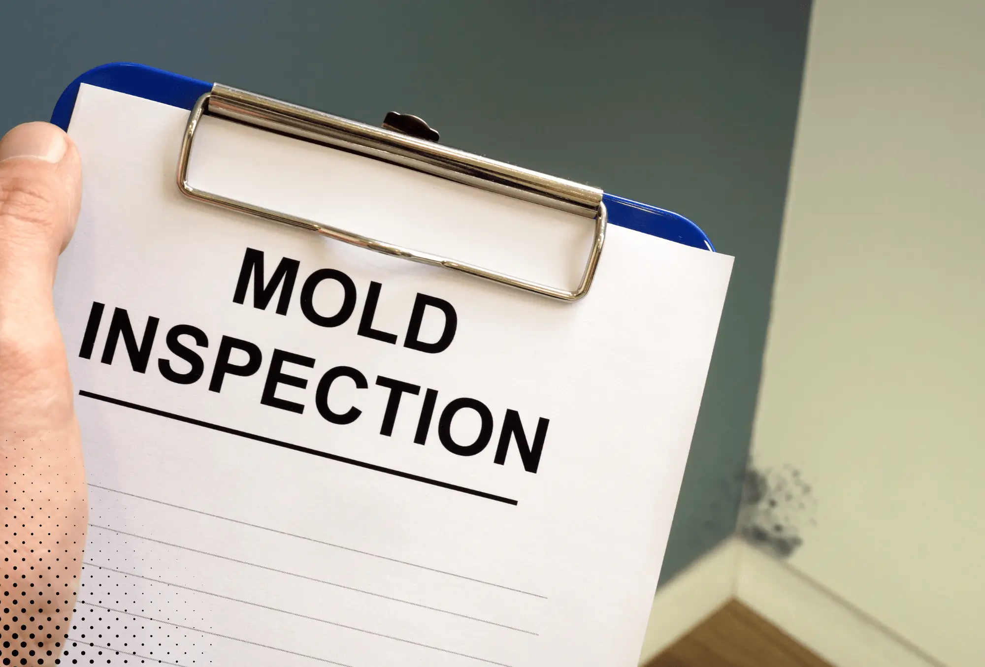 Jiles Inspections, LLC Mold Inspection